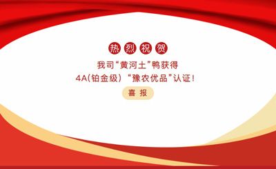 【喜報(bào)】—我司黃河土鴨獲4A(鉑金級(jí)）“豫農(nóng)優(yōu)品”認(rèn)證！